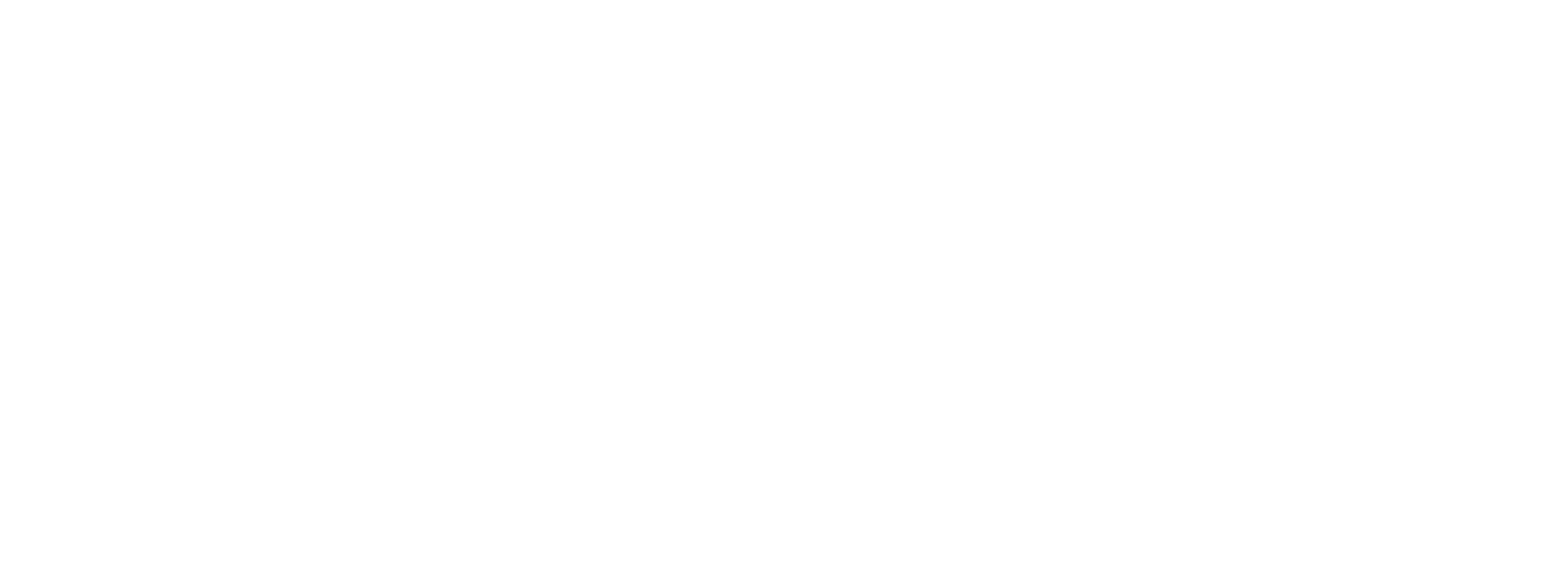Logo Pro sAIRvices_blanc
